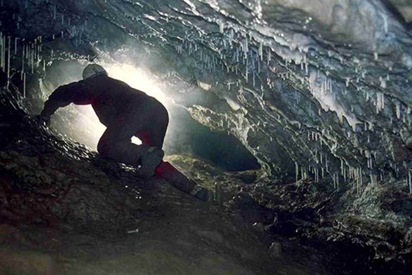 Caver traversing passage lined with soda straw stalactite formations in Rat's Nest Cave, Canmore Alberta — undisturbed speleothems in remote section of Canadian Rockies cave system